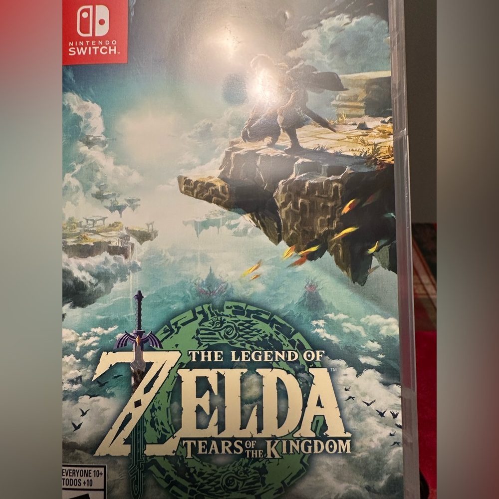 The Legend of Zelda Video Game
